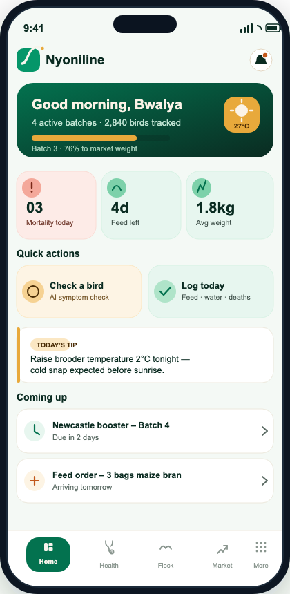 NyoniLine mobile interface showing flock status, feed remaining, daily records and upcoming tasks